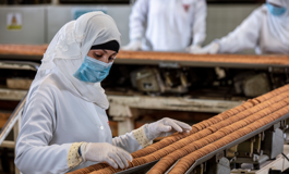 In Crisis Zones, Investment in Purpose and Impact Drives Organizational Resilience and Growth