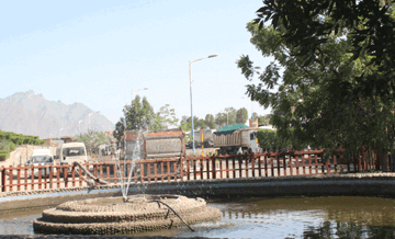 Environmental Practices