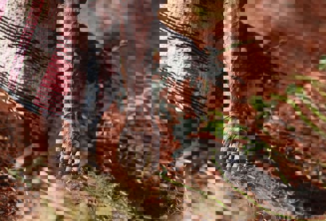 الطريق نحو حلول قصيرة وطويلة المدى