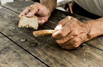 تقرير فني: دعم الأمن الغذائي