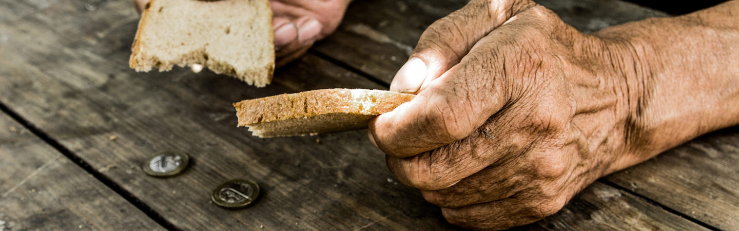 تقرير فني: أزمة الأمن الغذائي في اليمن