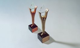 هائل سعيد أنعم، اليمن تحصد ذهبية الاستجابة لكوفيد وبرونزية الابتكار في الموارد البشرية ضمن جوائز ستيفي الشرق الأوسط